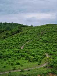 成都周邊｜邂逅川版阿勒泰的美景