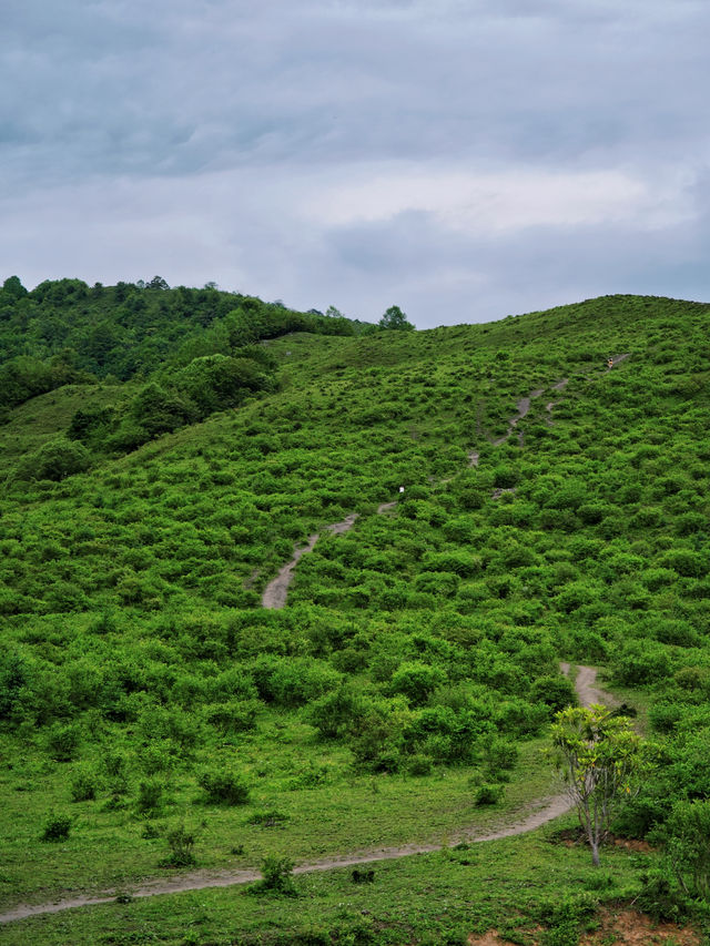 成都周邊｜邂逅川版阿勒泰的美景