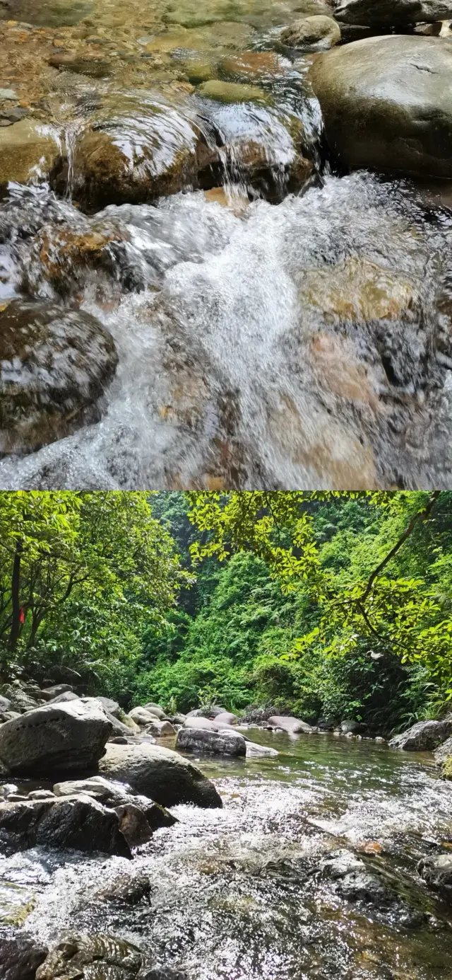 เจิ้งชิง - หุบเขาสีม่วง