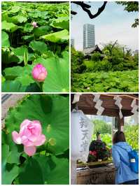 上野公園—日本的第一座公園，除了櫻花還有人文