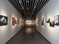 在中國畫院看展:追光者