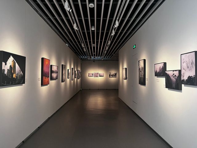 在中國畫院看展:追光者