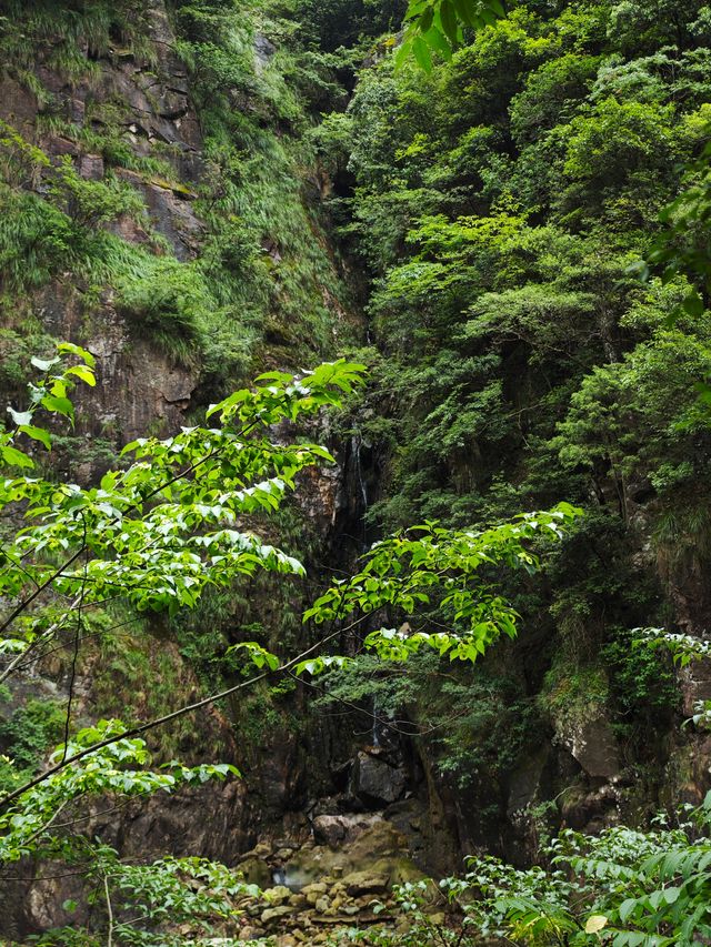 皖南秘境·離城市不遠，離自然很近鄣山大峽谷