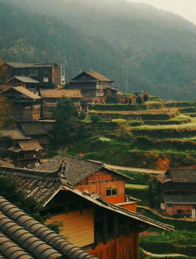 貴州行——堂安梯田