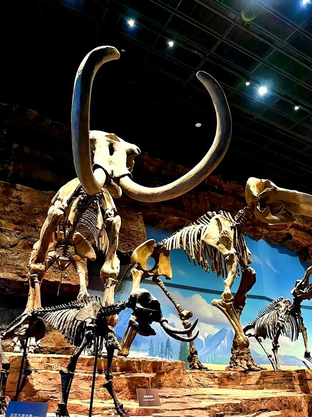 中國古動物館：穿越億年，邂逅地球遠古霸主！