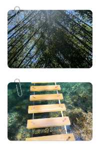 千萬別去清遠筆架山了！