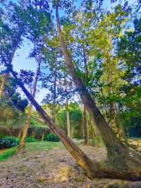 千萬不要錯過這個植物園！！！