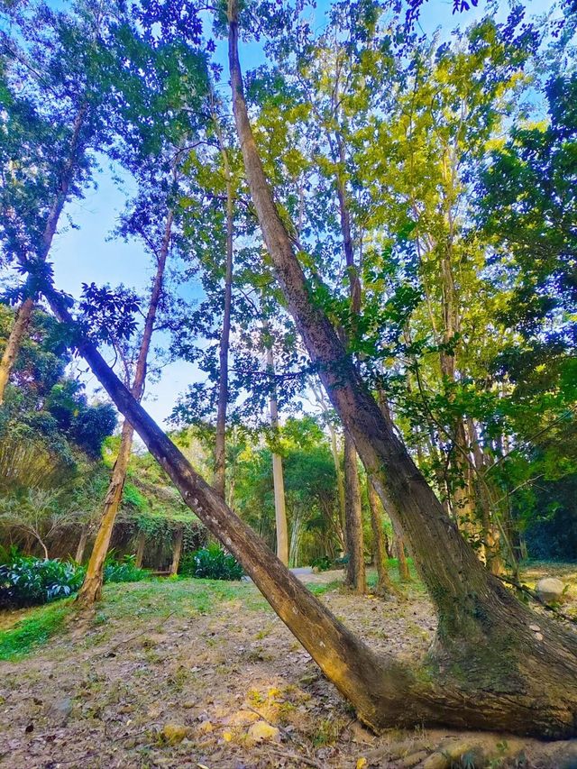 千萬不要錯過這個植物園！！！