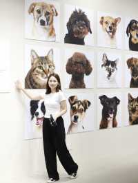 上海新展｜家有毛孩子速來觀展可帶寵物哦