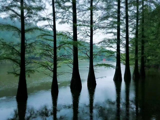四明山莊避暑之旅：深度探索與愜意住宿。
