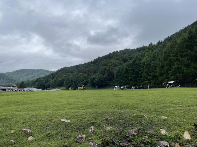 伊春旅遊攻略