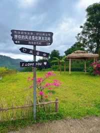 瓊中百花嶺爬山好去處