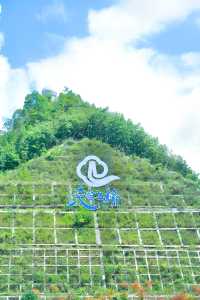 走進貴州第四站，走近平塘特大橋