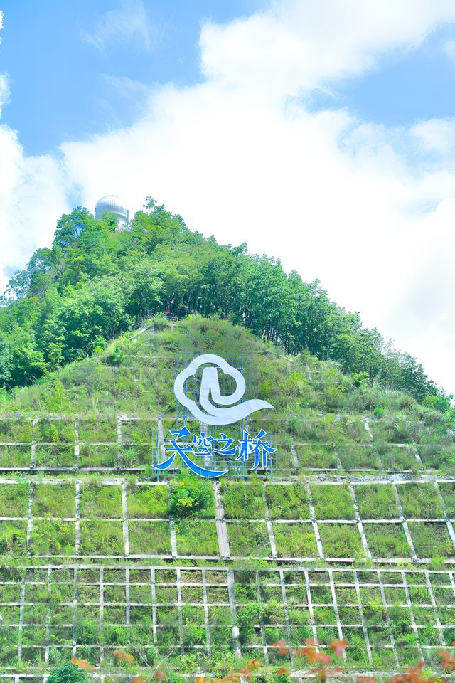 走進貴州第四站，走近平塘特大橋