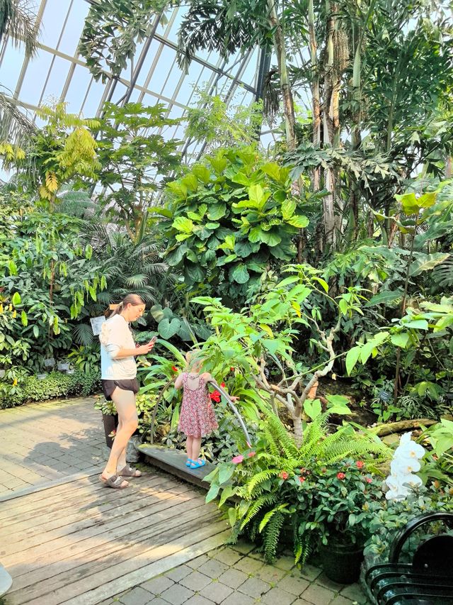姆塔特溫室：北美最大的溫室植物園，被譽為“金字塔綠洲”