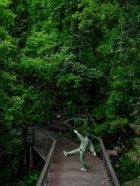 深圳秘境！森林綠道探險🌳