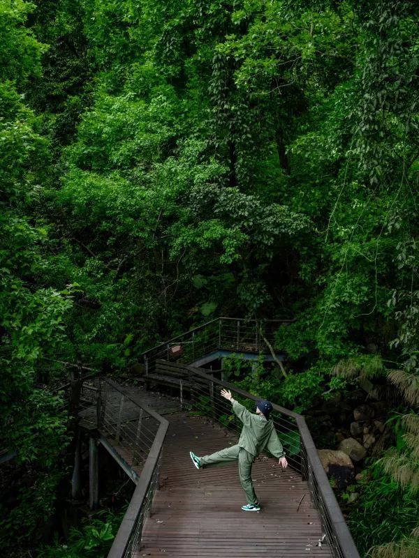 深圳秘境！森林綠道探險🌳