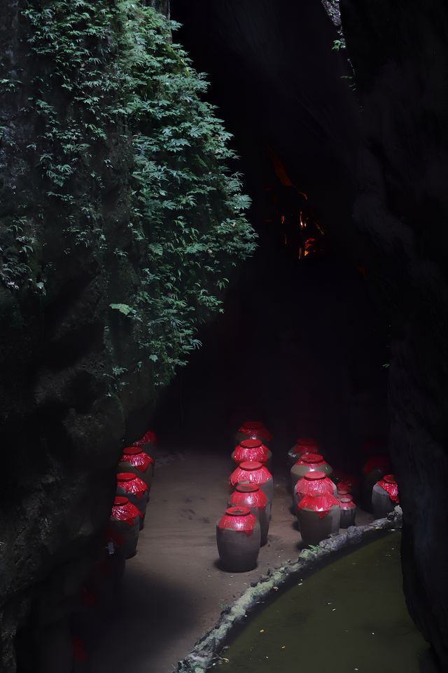 叙永•不老潭酒莊 你值得奔赴的約定！