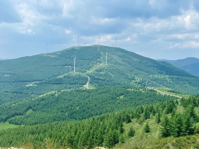 桦皮岭徒步露營體驗全攻略：走進大自然的心跳。