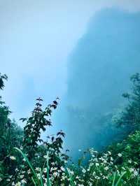 川河蓋｜雲端之上的夢幻之旅你來過嗎？