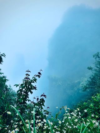 Chuanhegai | Have you ever been on a dreamy journey above the clouds? 