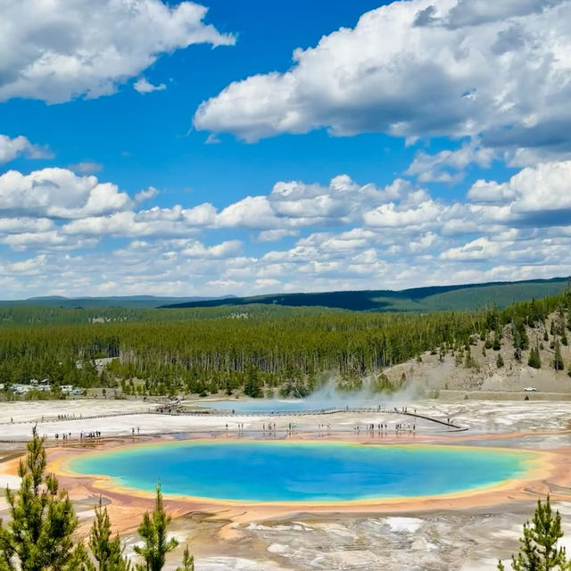 Yellowstone National Park 