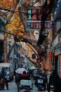 西安賞秋攻略：秋日的浪漫與美麗 。
