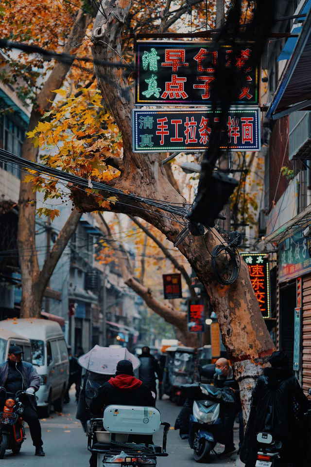 西安賞秋攻略：秋日的浪漫與美麗 。