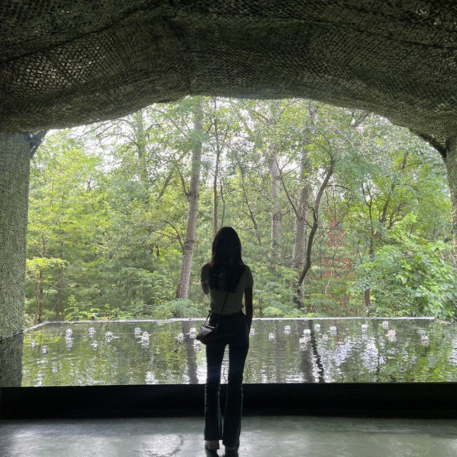 하남에서 갤러리 작품뿐만 아니라 자연힐링까지 즐길 수 있는 곳🌳 
