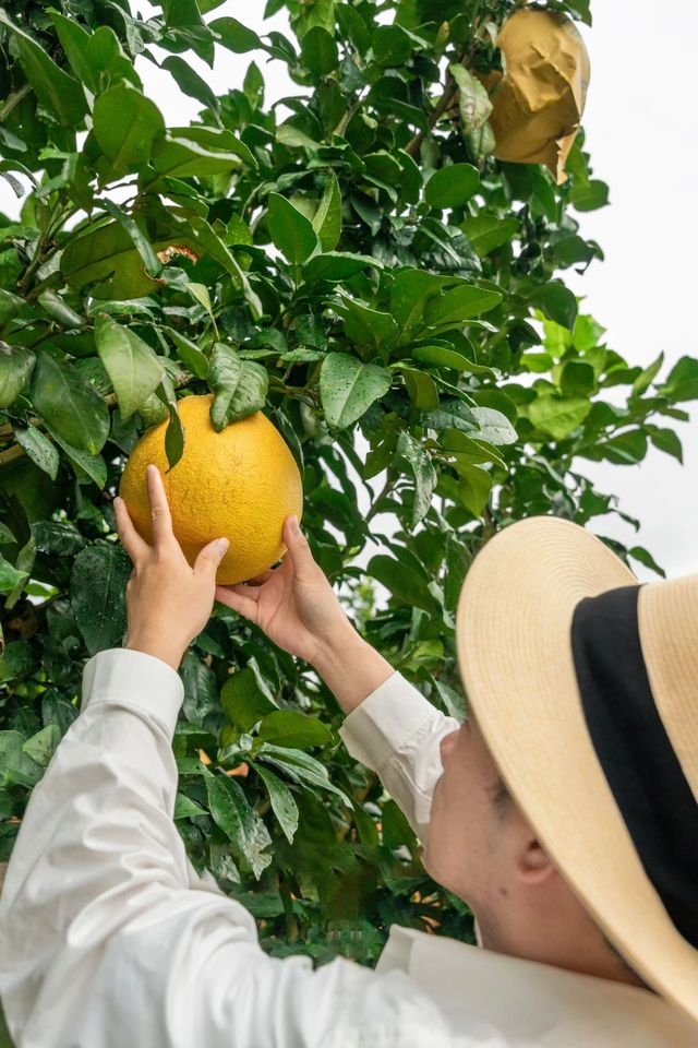 《鄱陽湖畔的奇幻之旅：走進宮崎駿的草海世界》。
