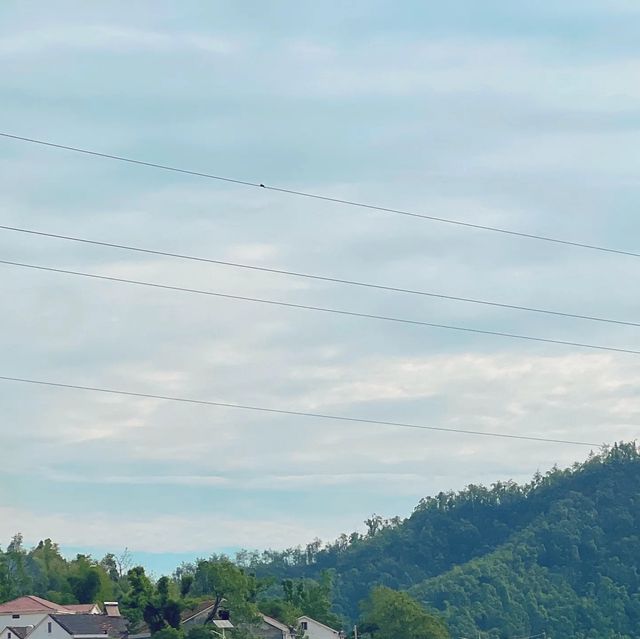 岳陽周邊登山寶典：家庭友好型路線揭秘與必知事項！。