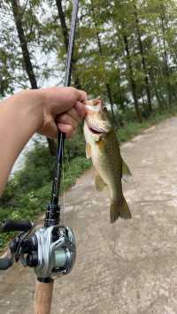 再次路亞釣魚！釣魚的魅力確實很大～。