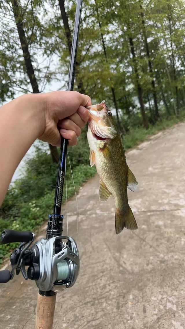 再次路亞釣魚！釣魚的魅力確實很大～。