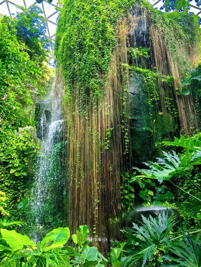 一個超級夢幻的地方青島世博園植物園！！！。