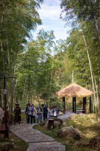 我在武功山下發現了一座百年古樹村。