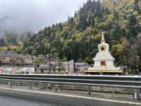 彩林路：風景在路上。