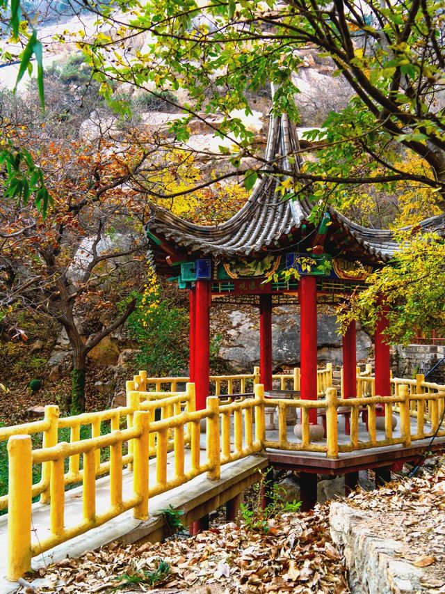 誰懂！煙台這裡滿足了我對登山的所有想像！。