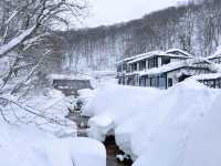 Explore Akita's Nyuto Onsen Village: Kyukamura and Tsurunoyu Guide