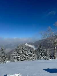 吉林北大湖|這粉雪，誰頂得住！。