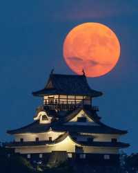 Japan's Five National Treasure Castles: Part Three