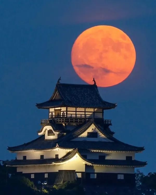 Japan's Five National Treasure Castles: Part Three