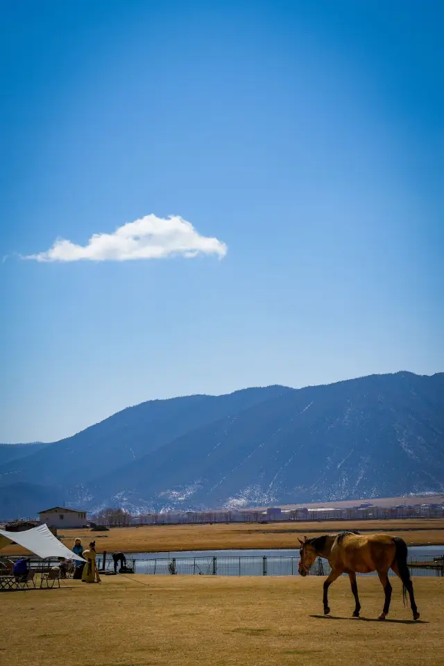 Run to the freedom of Shangri-La: Horse riding at Napa Lake.