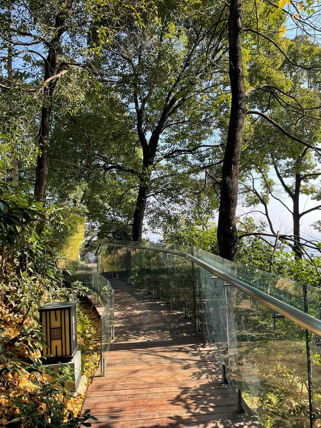 岳陽周邊遊。