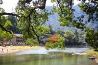 浙江溫州|遇見中國最美廊橋