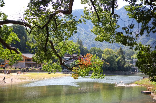 浙江溫州|遇見中國最美廊橋