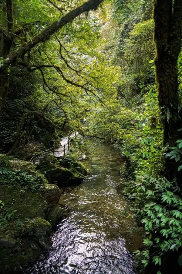 昆明周邊｜戛灑哀牢山兩天一夜吃住行攻略