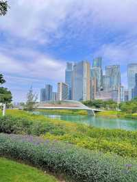 深圳桂灣公園｜人少巨舒服，宮崎駿漫畫公園花又開了！