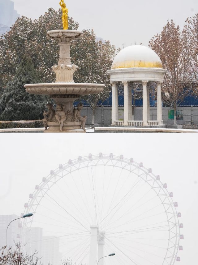 天津下雪了，喊你來賞雪