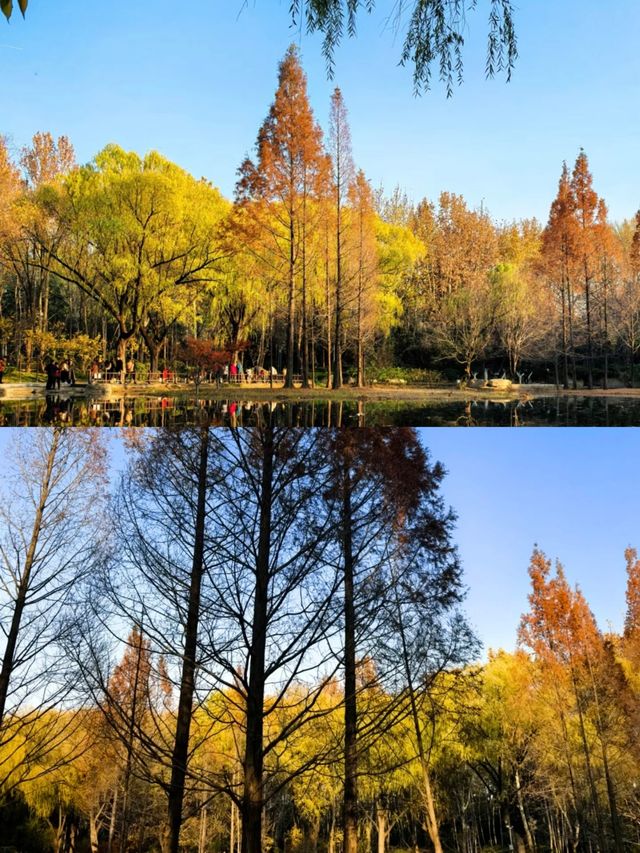 濟南森林公園，小朋友的天堂！！