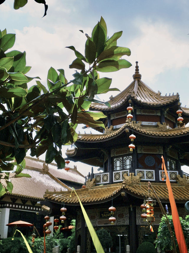 A Day at Phantasialand: Roller Coasters and Fun